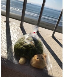 カメロンパン | その他