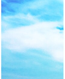 AVIREX | Tシャツ/カットソー