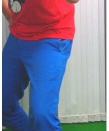 Dickies | その他パンツ