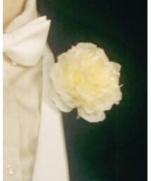 岡本造花店 | ブローチ/コサージュ