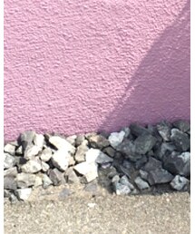 Cienta | バレエシューズ