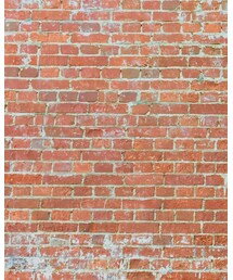 BURBERRY | トレンチコート