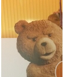 TED | フィギュア