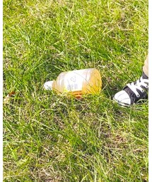 りんごジュース | その他