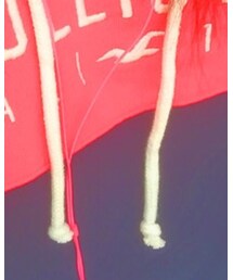 Hollister | パーカー