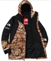 Supreme  | supreme×THE NORTH FACE(マウンテンパーカー)