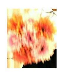 雑貨屋 | その他