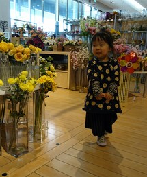 🌷🌻 | その他