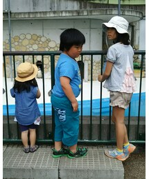 🐧見てる～✴ | その他