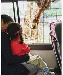 キリンさん❗ | その他