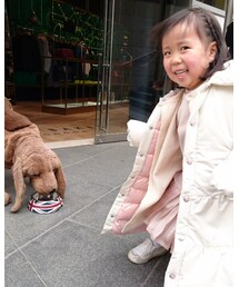 犬にビビる(笑) | その他