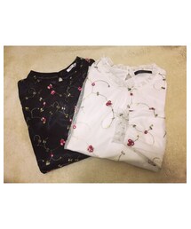 しまむら | シャツ/ブラウス