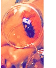 fashion nova | メガネ