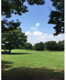 公園 | その他
