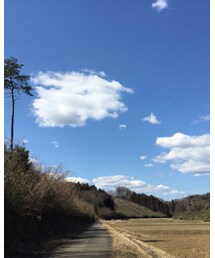 今日の一枚 | その他
