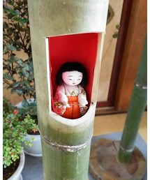 かぐや姫👸 | その他