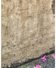 jks | Tシャツ/カットソー