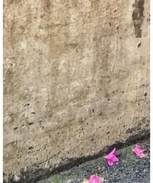 yeezy700 | スニーカー