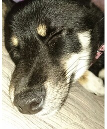 ののちゃん💕 | その他