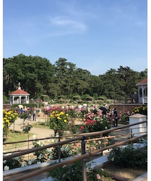 バラ園 | その他