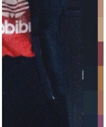 SPAO | スタジャン