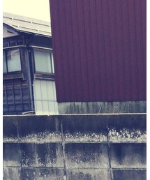 JIGSAW | Tシャツ/カットソー