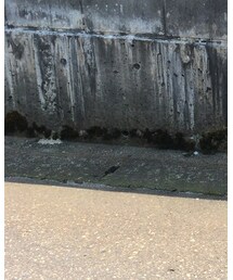 Thoroughlydenim | その他パンツ