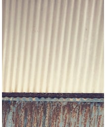 freedom spectacle | メガネ