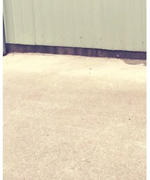 Keds | スニーカー