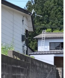 SONTAKU | Tシャツ/カットソー