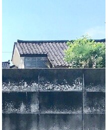 UNIQLO | Tシャツ/カットソー