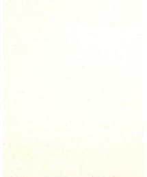 YAECA | デニムパンツ