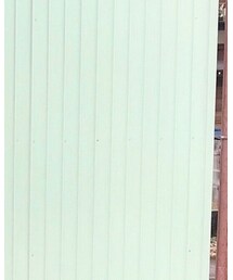 SAINT JAMES | Tシャツ/カットソー