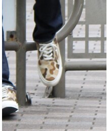 CONVERSE | スニーカー