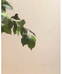 夏仕様です | トップス