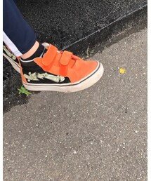 VANS | シューズ