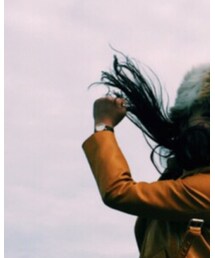 SKAGEN | アナログ腕時計