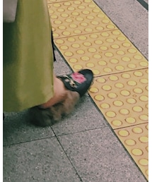 GUCCI | シューズ