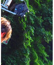 嵐山 | その他