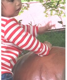 abcd | Tシャツ/カットソー