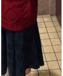 earth music&ecology | スカート