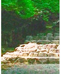 忘れた | ハンチング/ベレー帽