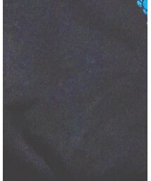 SANTA CRUZ | Tシャツ/カットソー