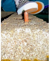 Dickies | パーカー