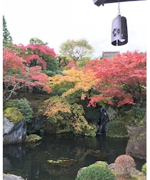 紅葉ハンティング | その他