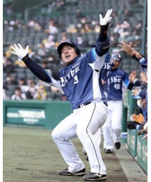 どすこい！！ | その他