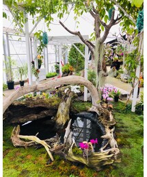 たまには植物園とかどうですか？ | その他