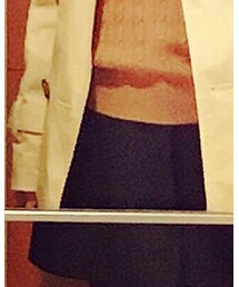 Luz Llena (philter) | スカート