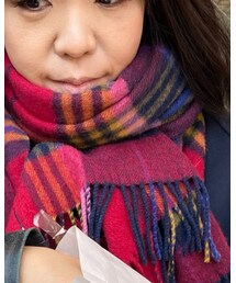 TOMMY HILFIGER | マフラー