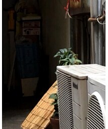 米津玄師 | ベルト